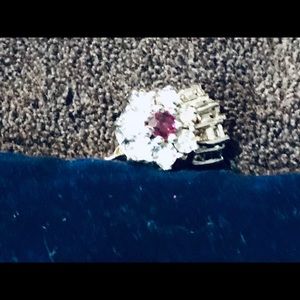 Diamonds and ruby earrings